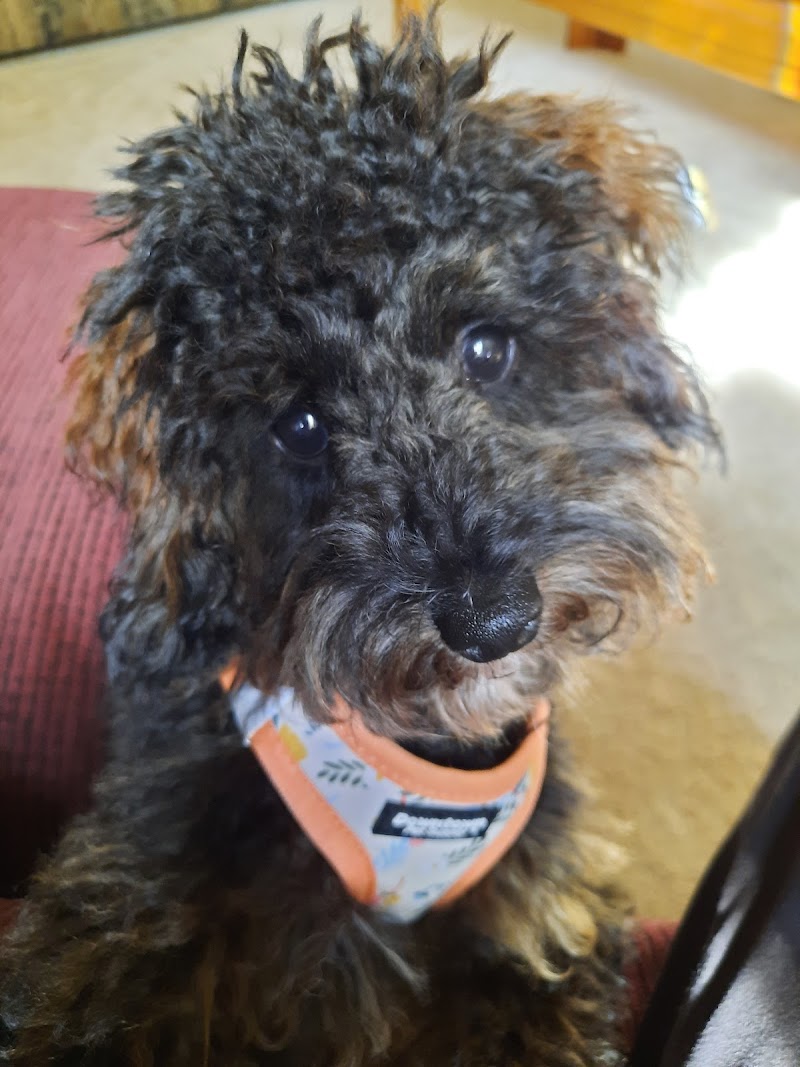 Bartlett Animal Hospital