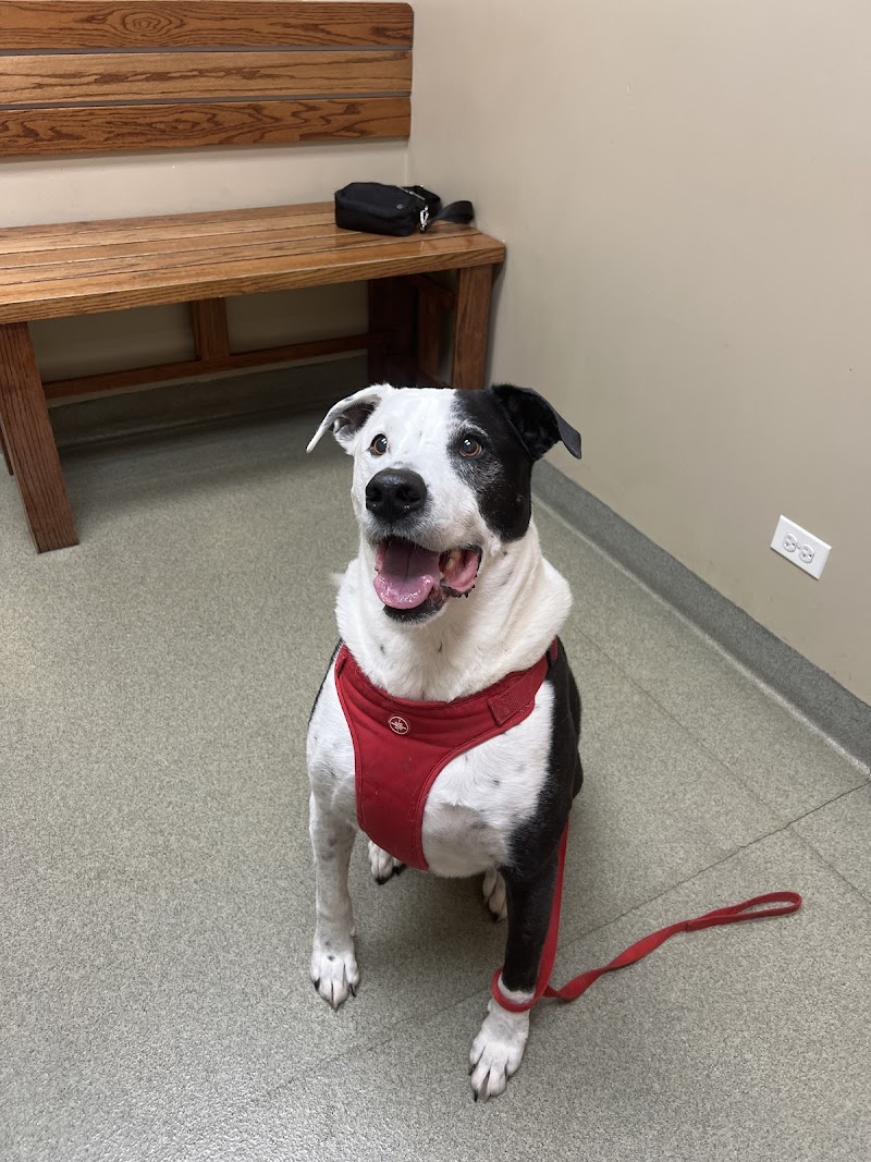 Bartlett Animal Hospital photo 2