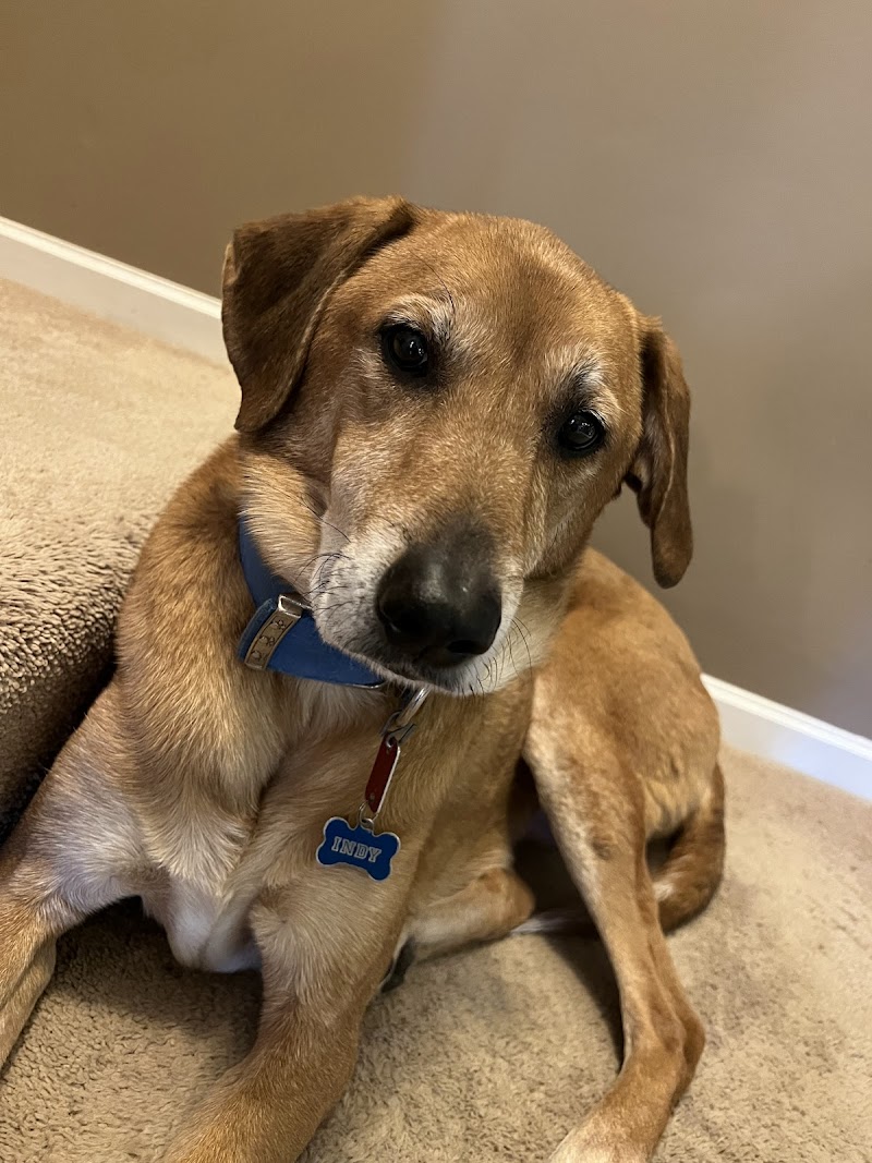 Bartlett Animal Hospital photo 3