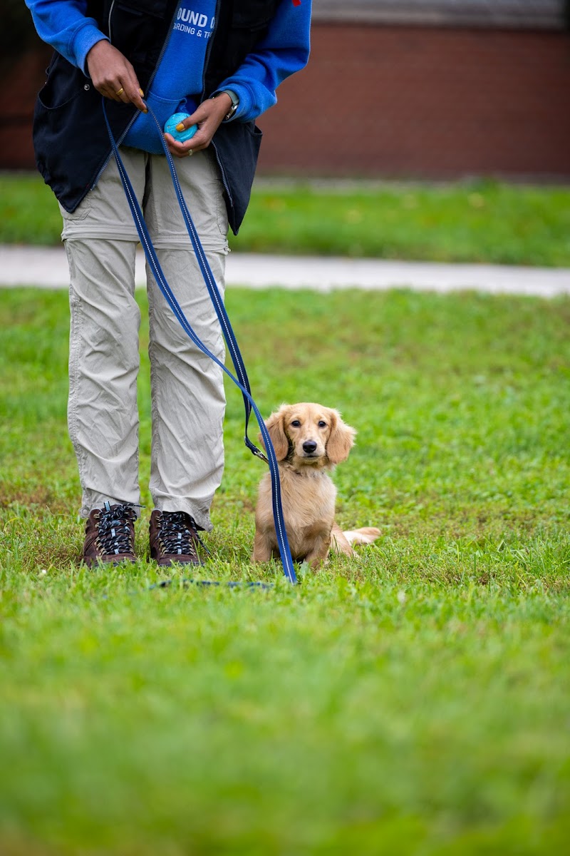 Found Chicago Boarding and Training Center photo 2