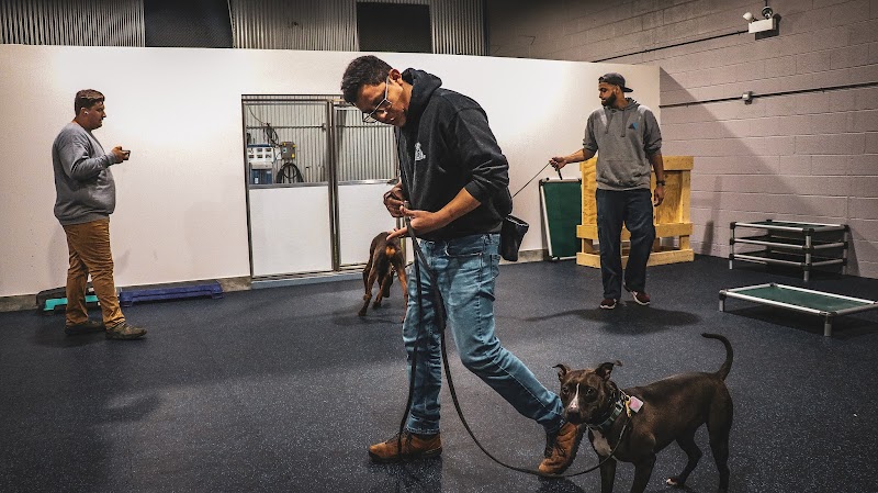 Found Chicago Boarding and Training Center photo 3