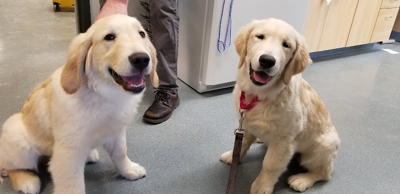 North Hoffman Veterinary Clinic photo 3