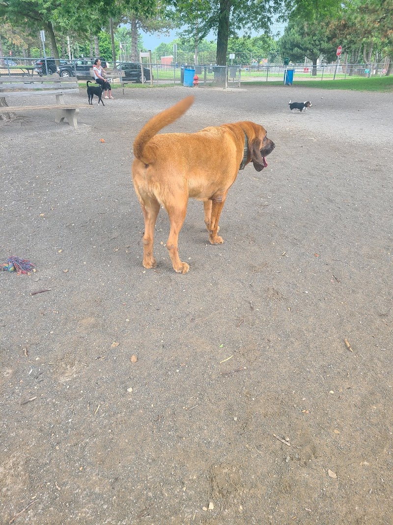 Behnke Memorial Dog Park photo 2