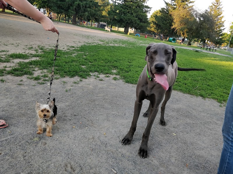 Behnke Memorial Dog Park photo 3