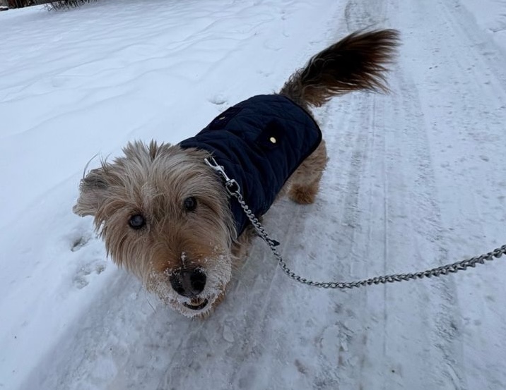 Floofins & Co. photo 2