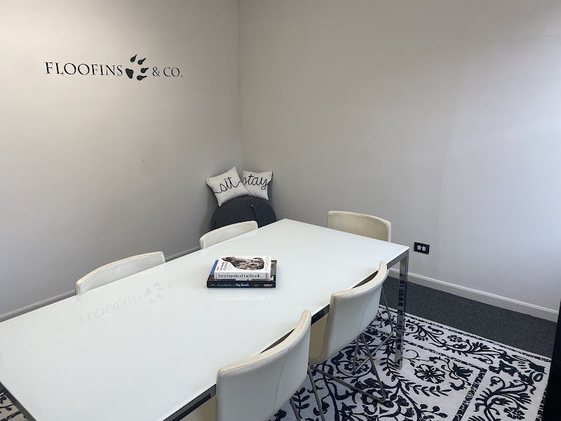 Floofins & Co. photo 3