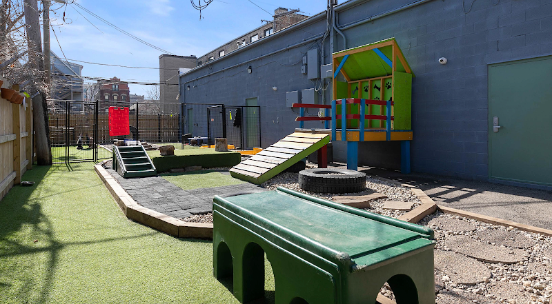 Rockstar Pets photo 2