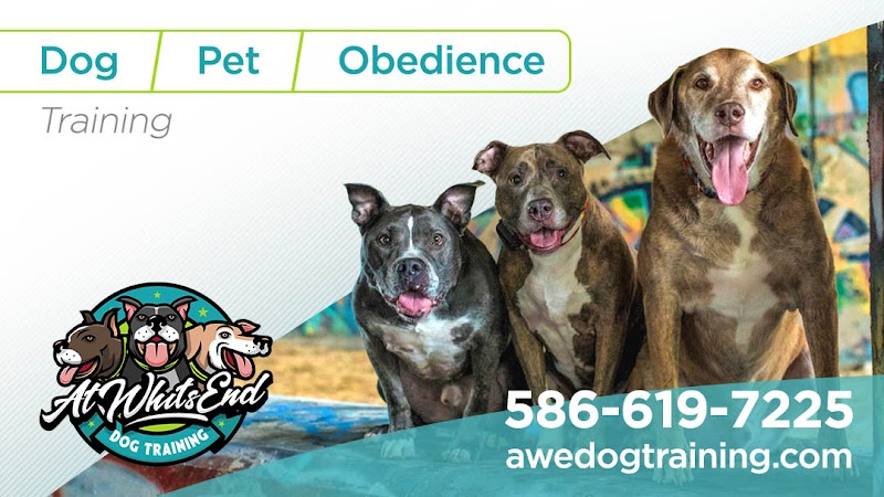 At Whits End Dog Training