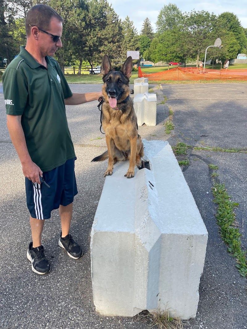 At Whits End Dog Training photo 2