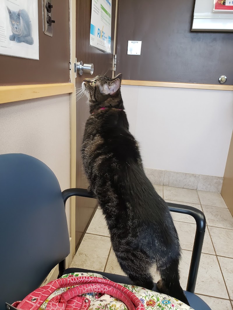 Troy Veterinary Hospital