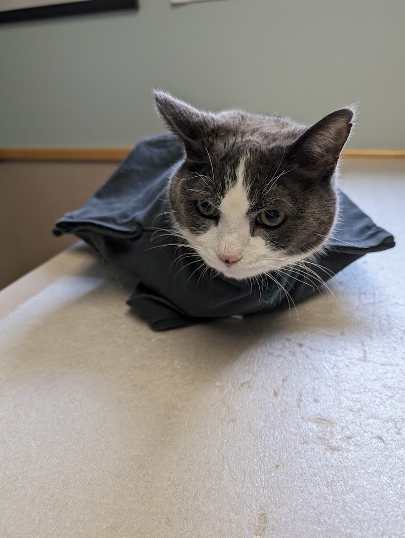 Troy Veterinary Hospital photo 2