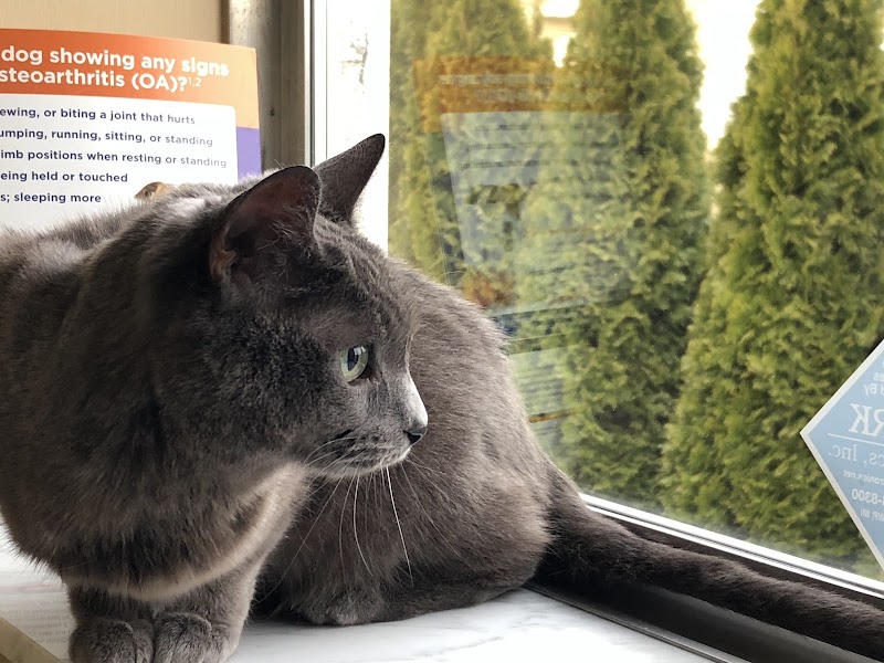 Troy Veterinary Hospital photo 3