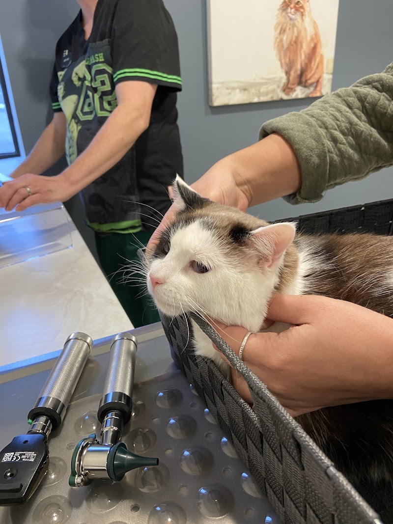 Rice Pet Clinic photo 2