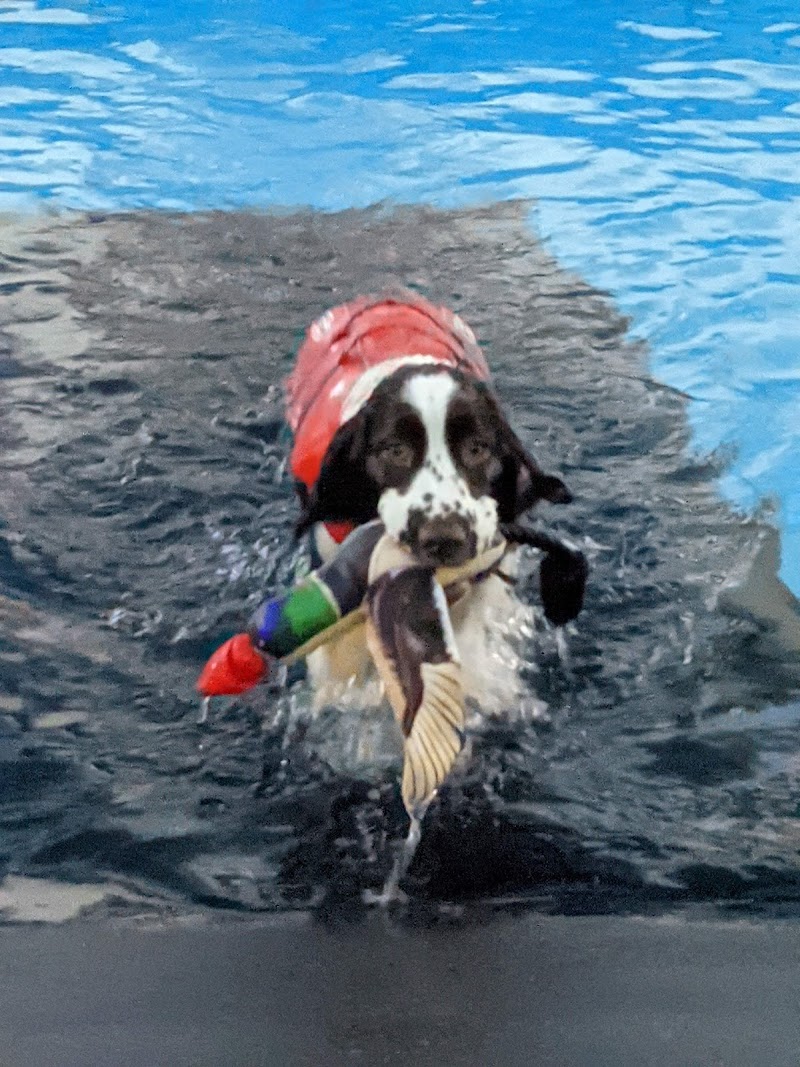 The Canine Country Club