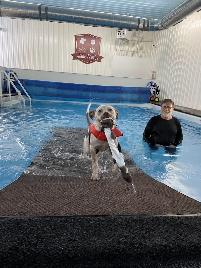 The Canine Country Club photo 2