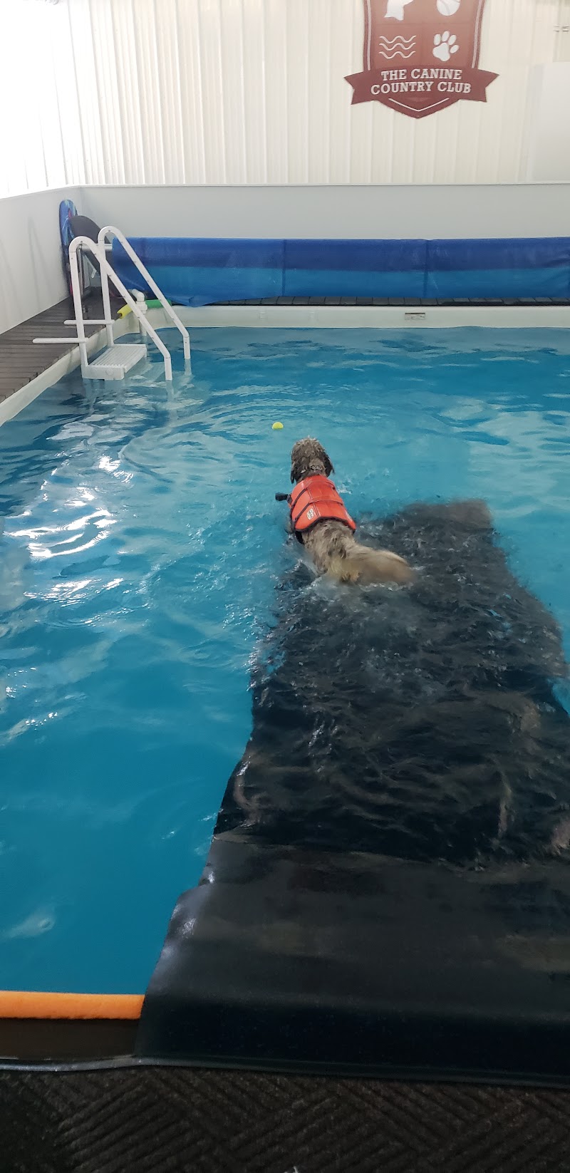 The Canine Country Club photo 3