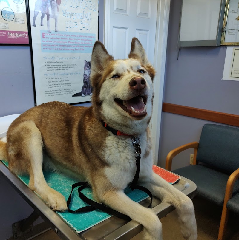 West Woodward Animal Hospital photo 3