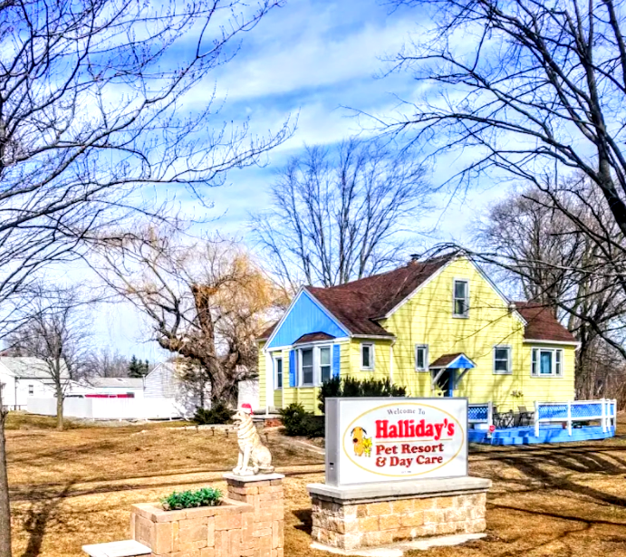 Halliday's Pet Resort & Daycare photo 2