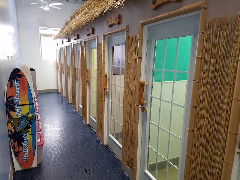 Halliday's Pet Resort & Daycare photo 3