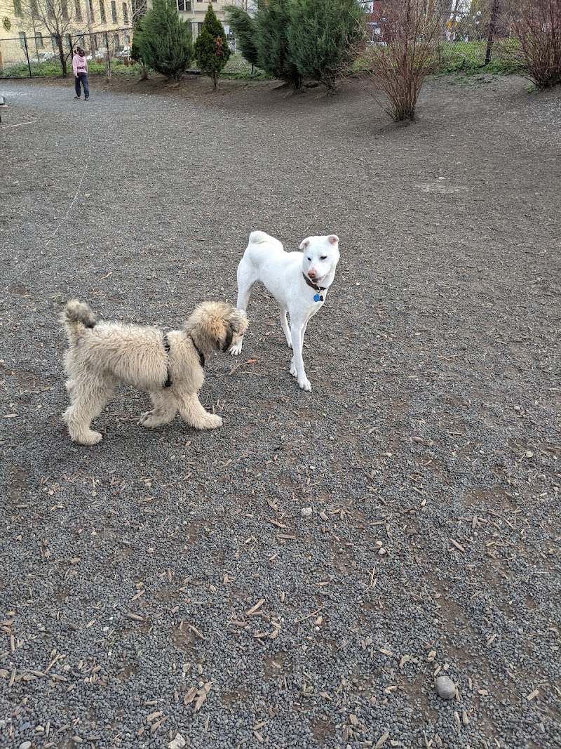Lowertown Dog Park