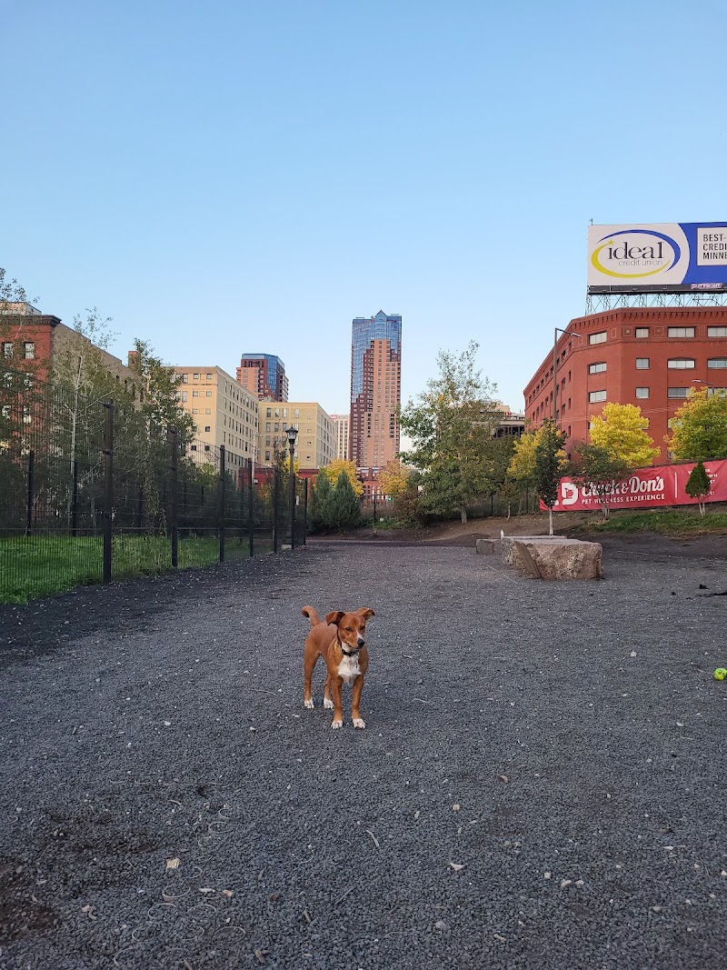Lowertown Dog Park photo 2