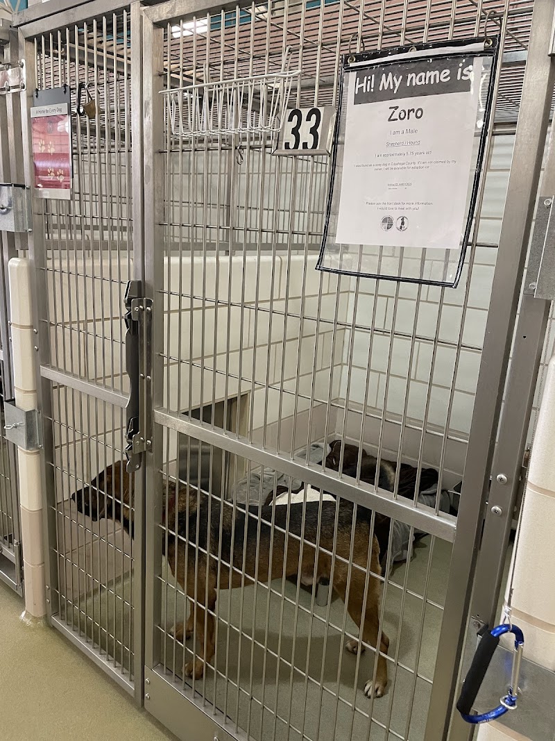 Cuyahoga County Animal Shelter
