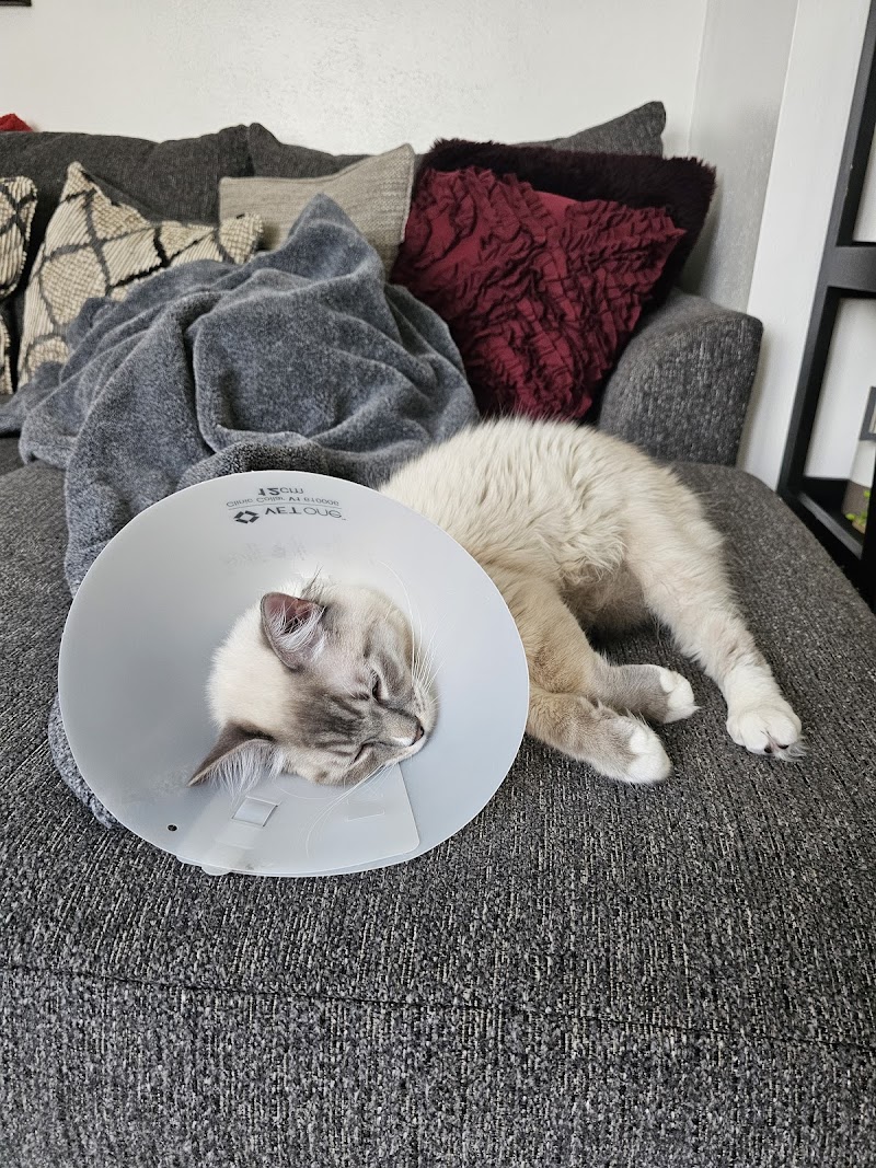 Porter Pet Hospital photo 3