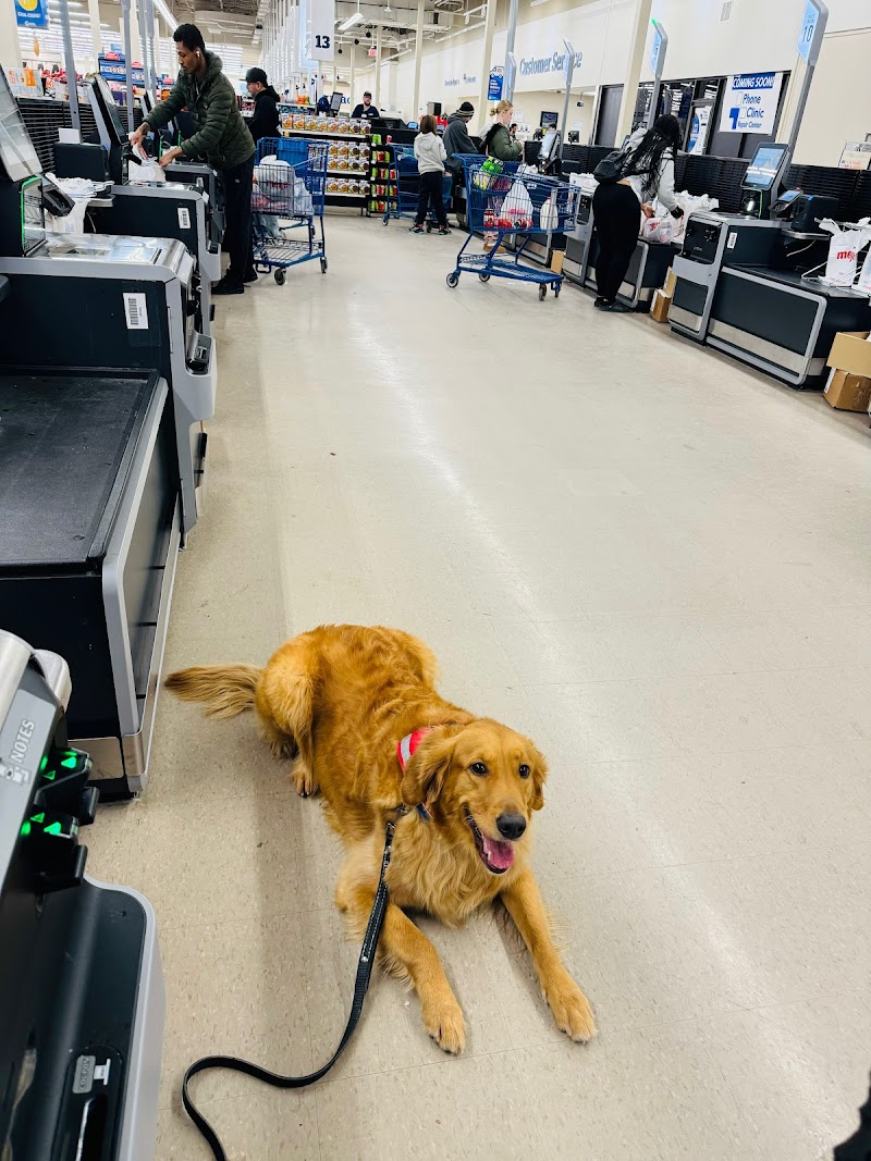 Michigan Dog Training photo 2