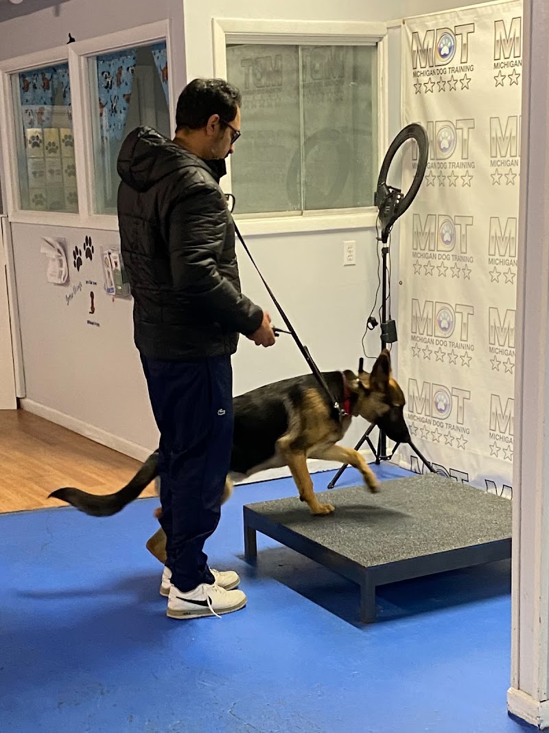 Michigan Dog Training photo 3