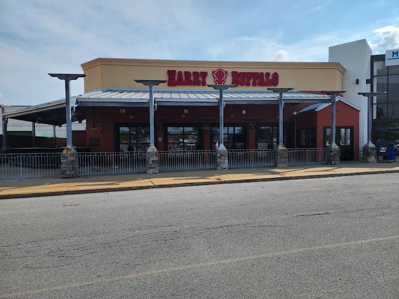 Harry Buffalo