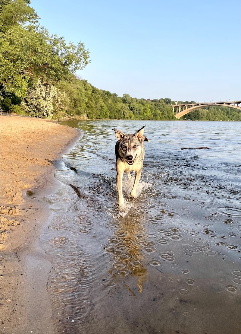 Meeker Island Dog Park photo 3