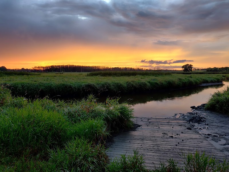 Williams MItchell Jr. Park
