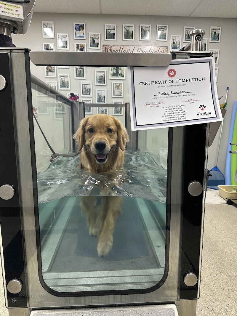 Wheatland Animal Hospital