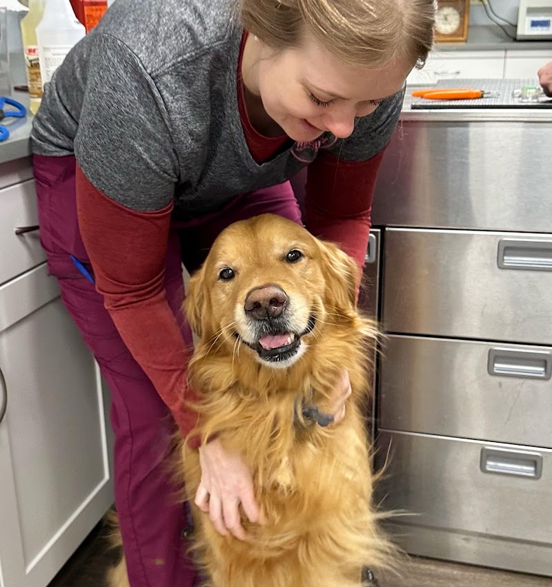 Wheatland Animal Hospital photo 2