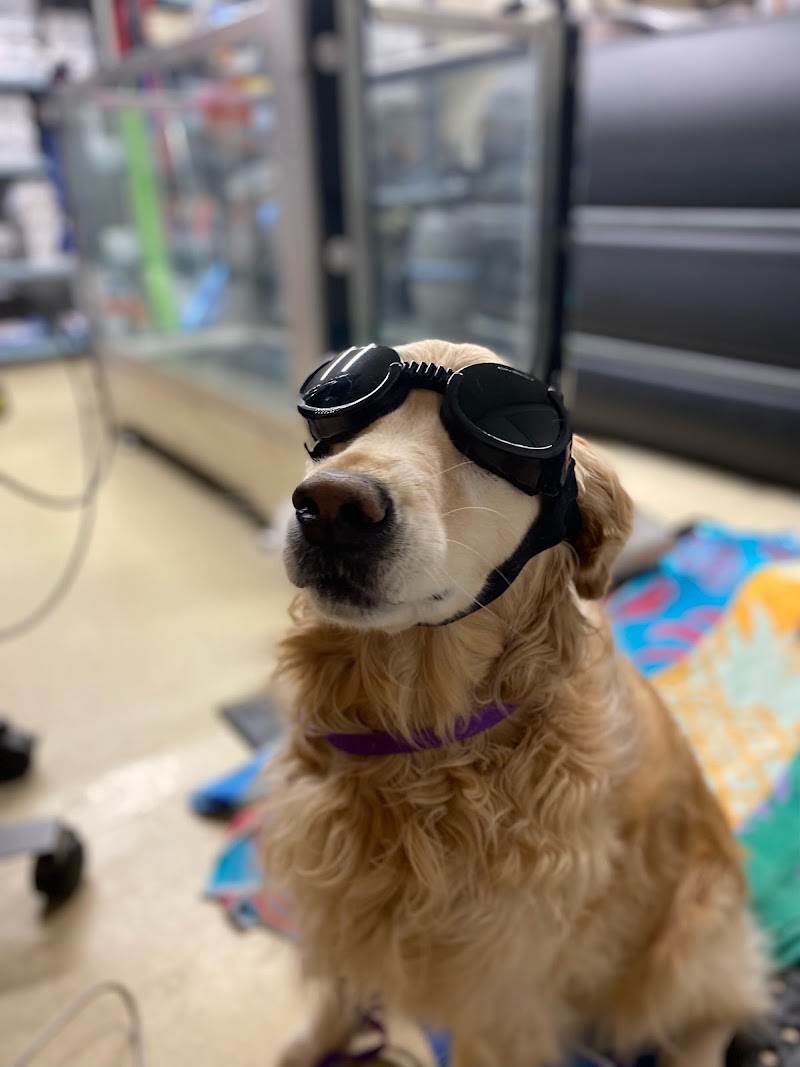 Wheatland Animal Hospital photo 3