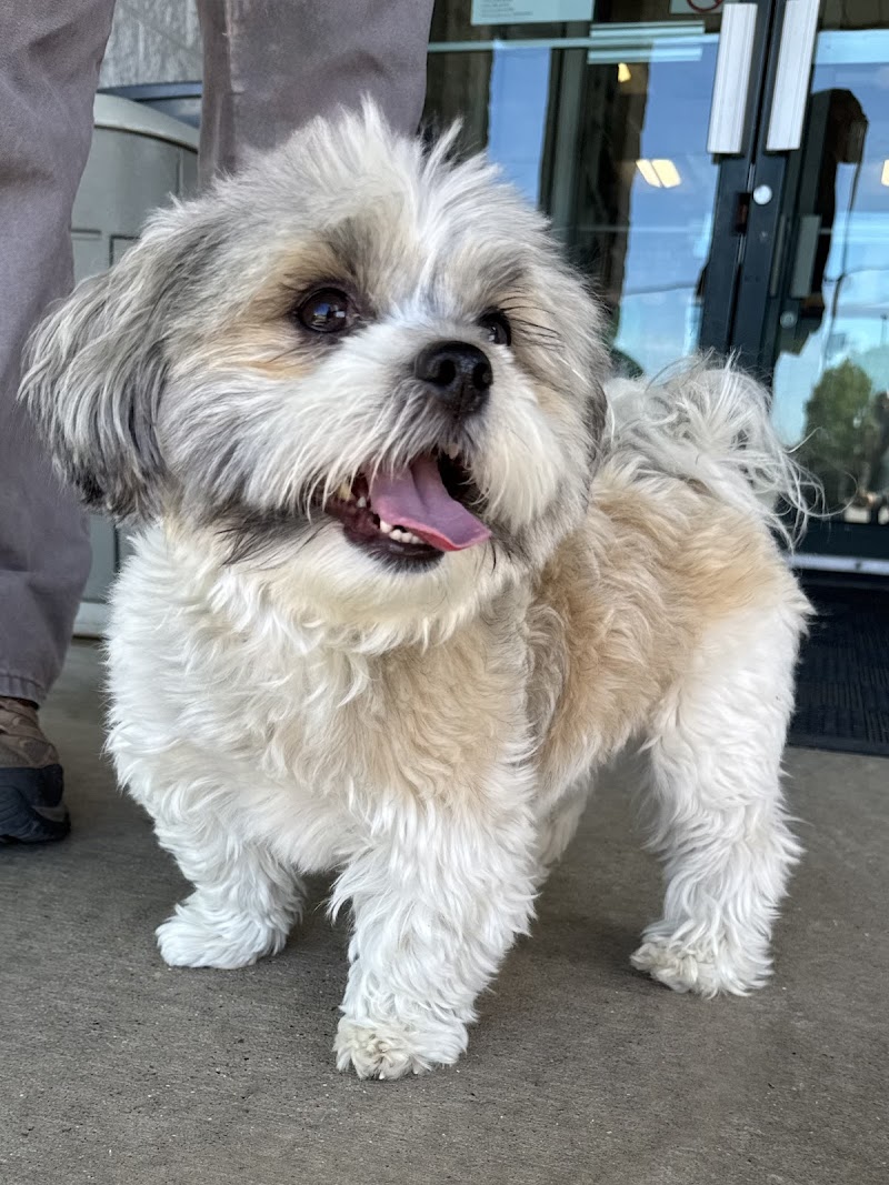 P.A.W.S. Tinley Park photo 2