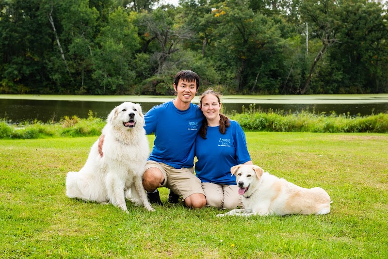 Animal Inn Pet Resort & Spa