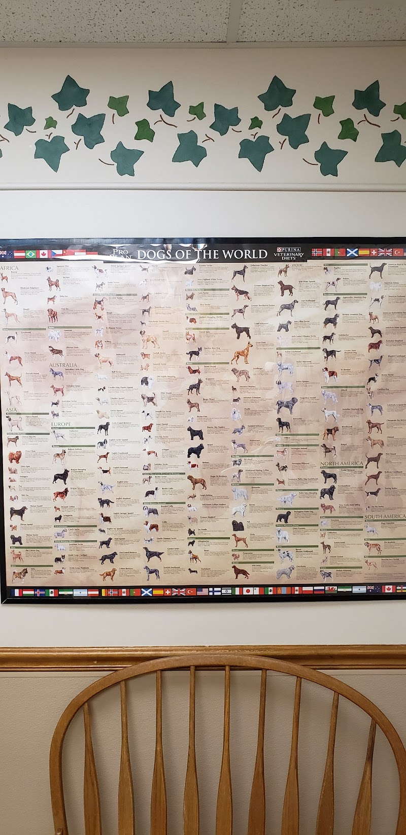 Douds Veterinary Hospital photo 2