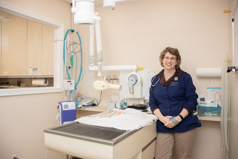 Ford Caputo Veterinary Hospital photo 2