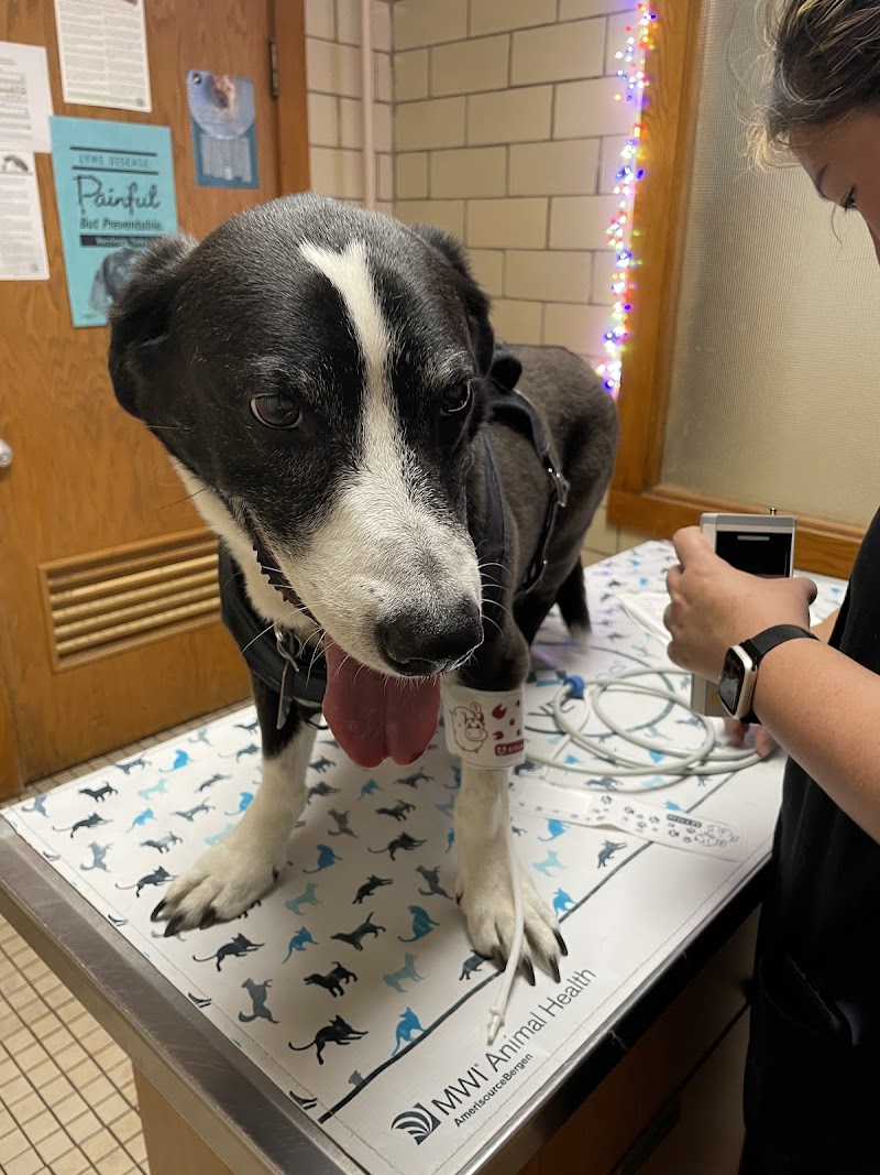 Pomeroy's Animal Hospital & Clinic