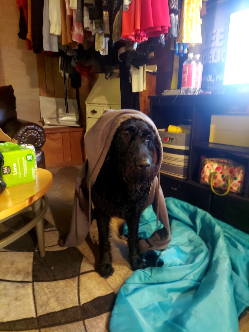 Pomeroy's Animal Hospital & Clinic photo 2