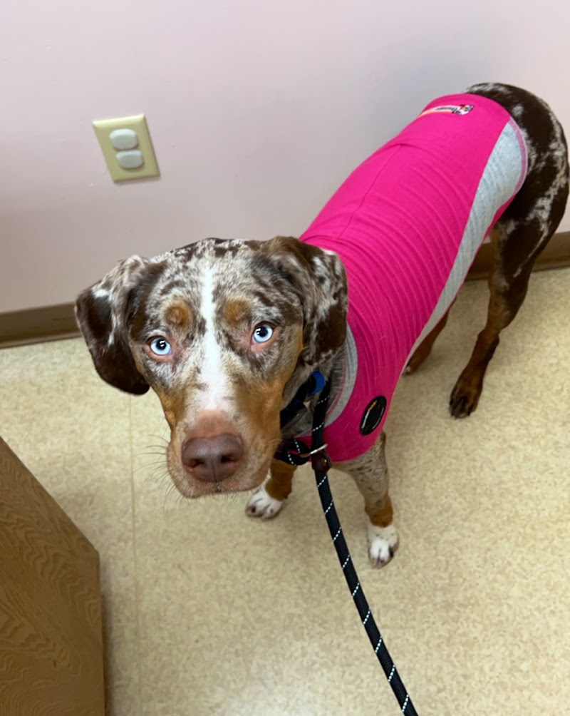 Oberlin Animal Hospital photo 3