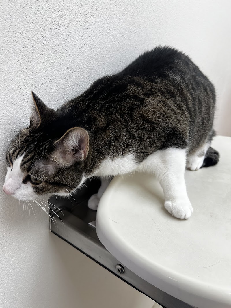 Spirit Of 76th Veterinary Clinic photo 3