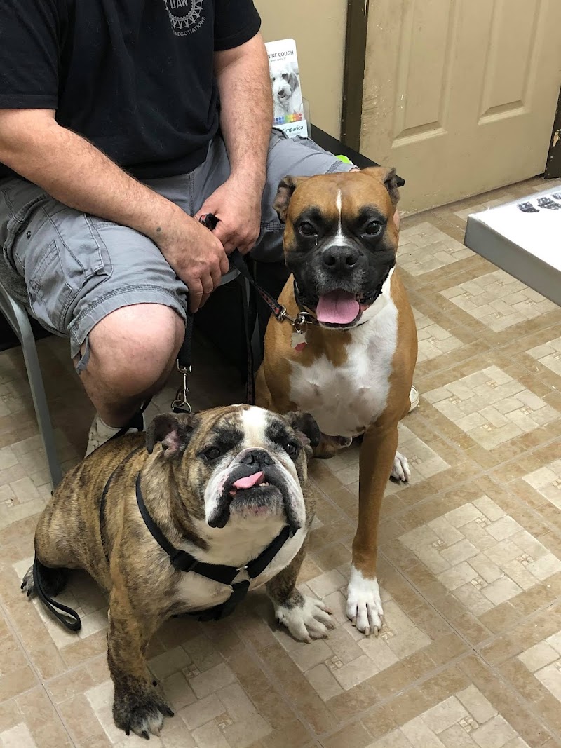 Pet Care Clinic photo 2