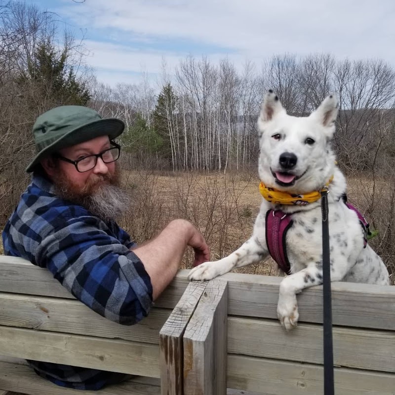 Get Real Dog Training