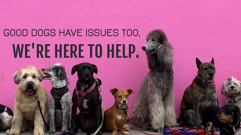 Get Real Dog Training photo 2