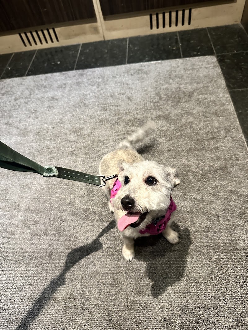 K9 Cleveland photo 2