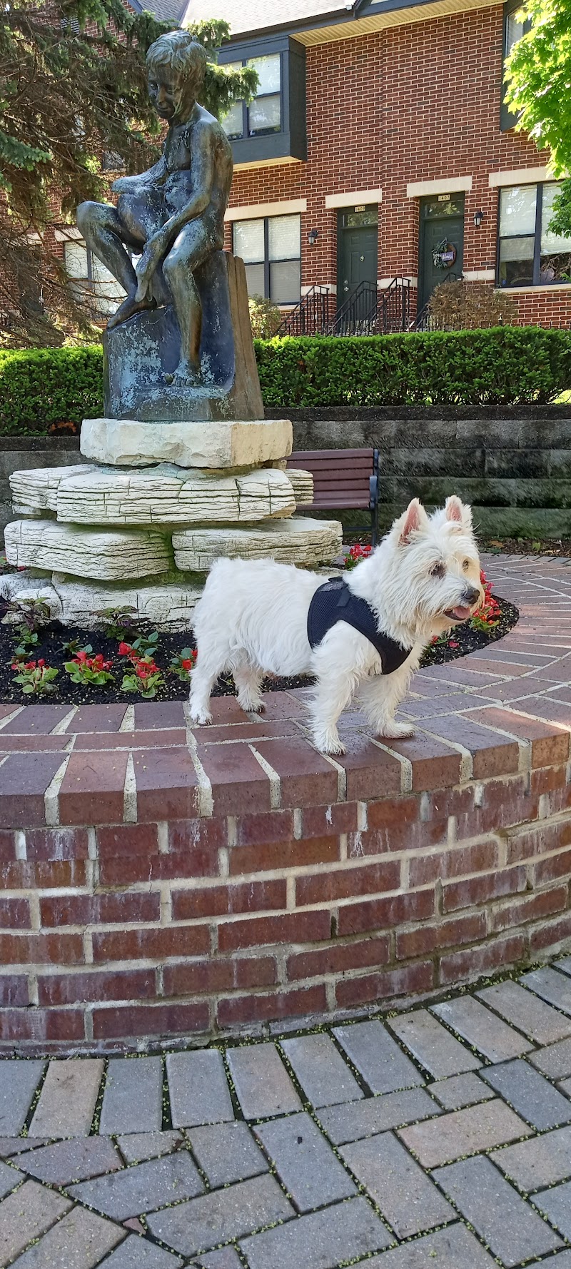 Marshall Park photo 3