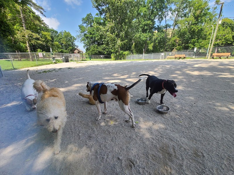 Lakewood Dog Park