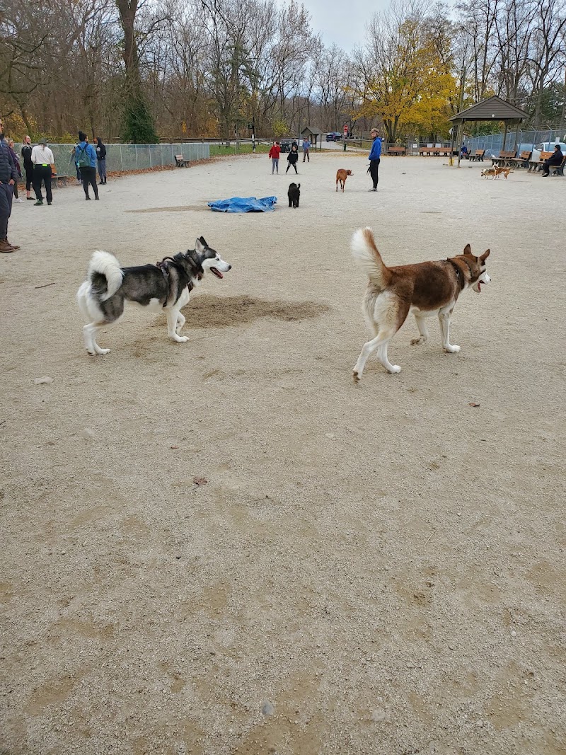 Lakewood Dog Park photo 2